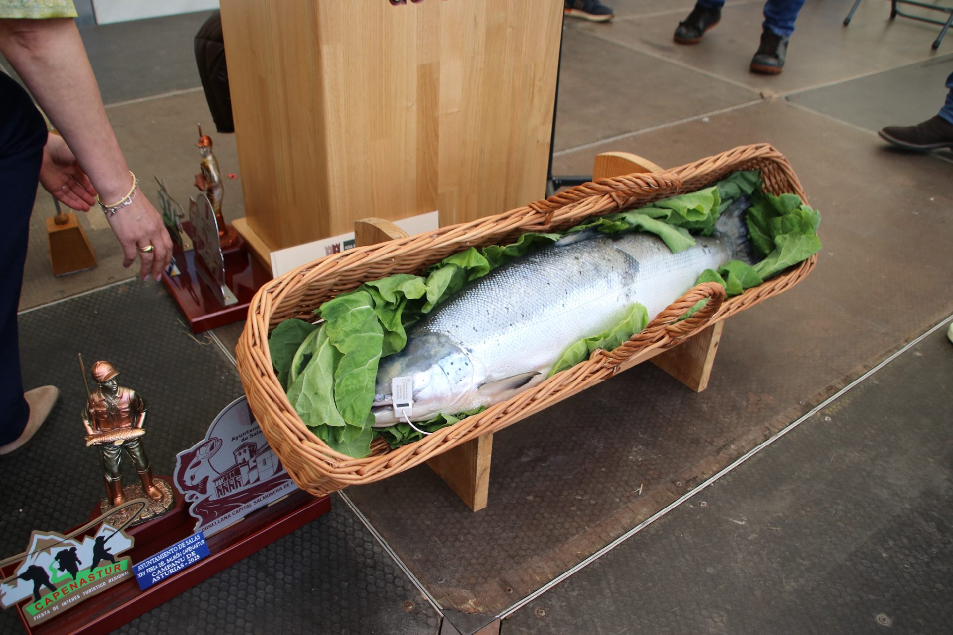 CAPENASTUR - Feria de la Pesca y la Naturaleza - 8