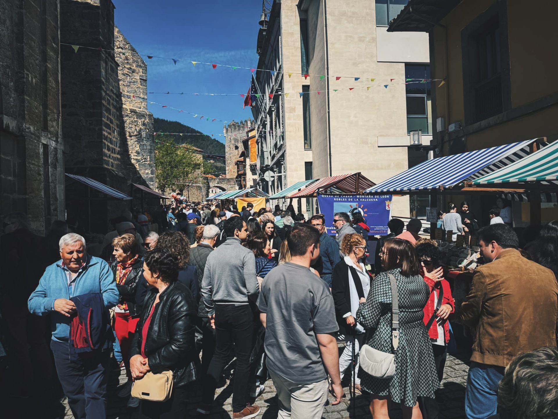 Certamen de Quesos Artesanos de Salas - 5