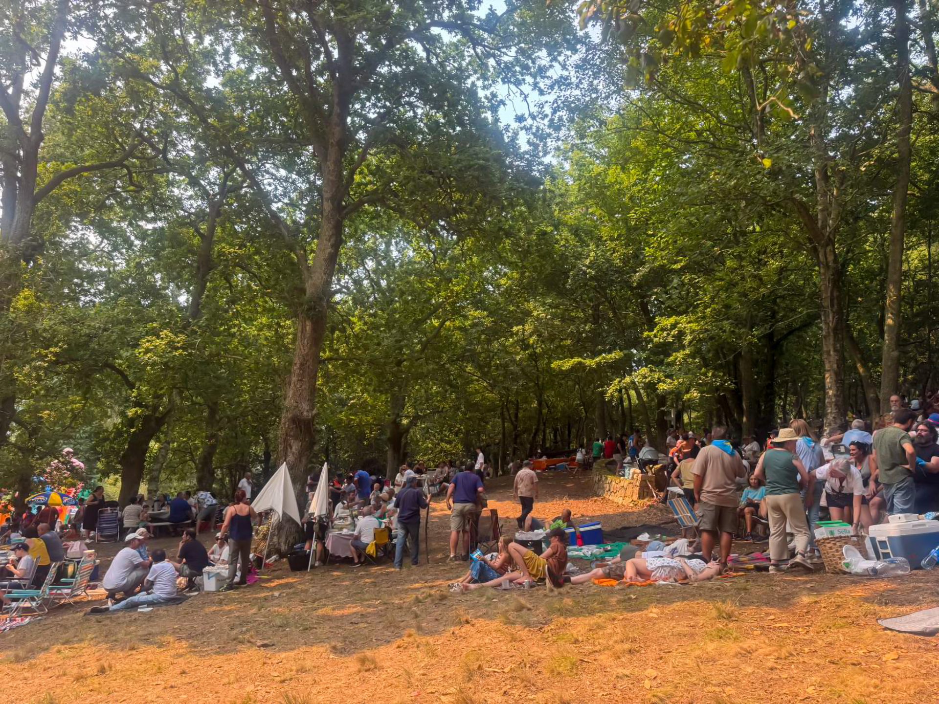 Romería del Viso - 8