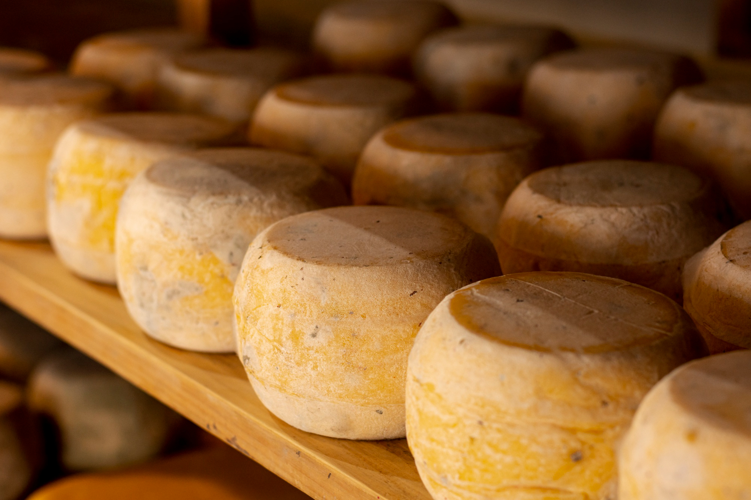 El Cabriteru Artisan Cheese Factory