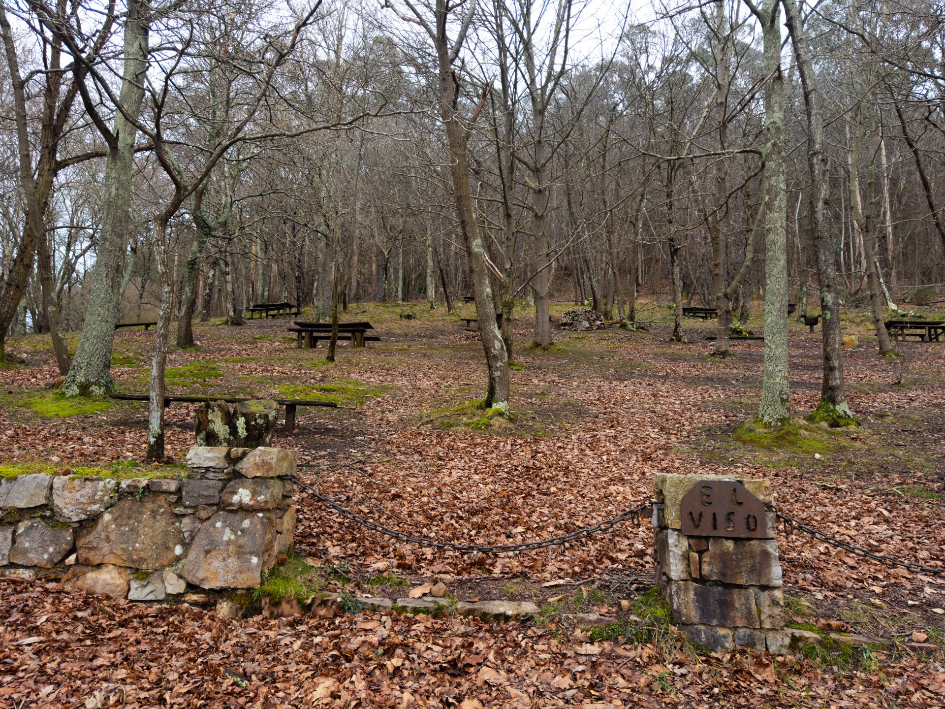 Área Recreativa El Viso - 2