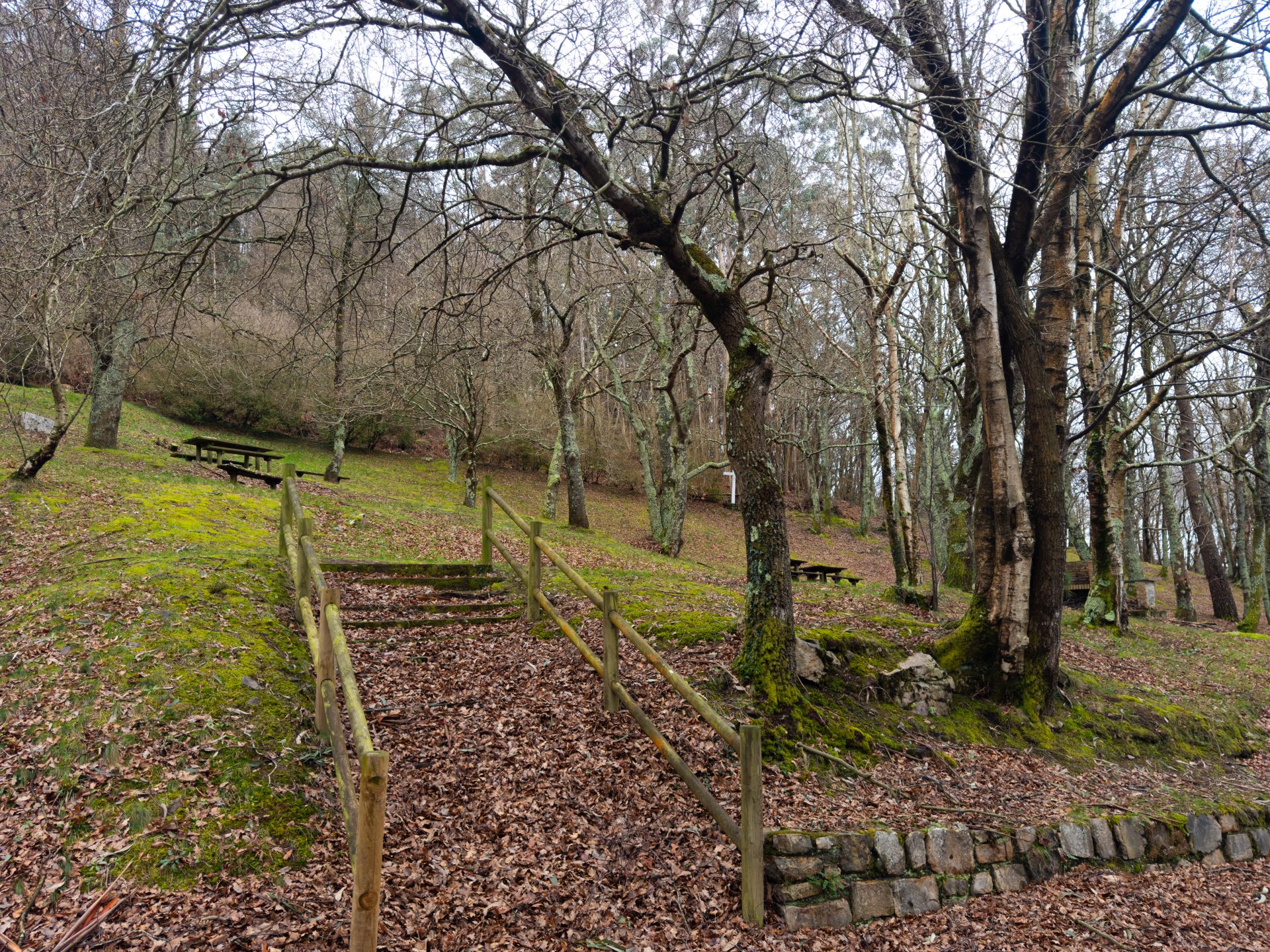 Área Recreativa El Viso - 4