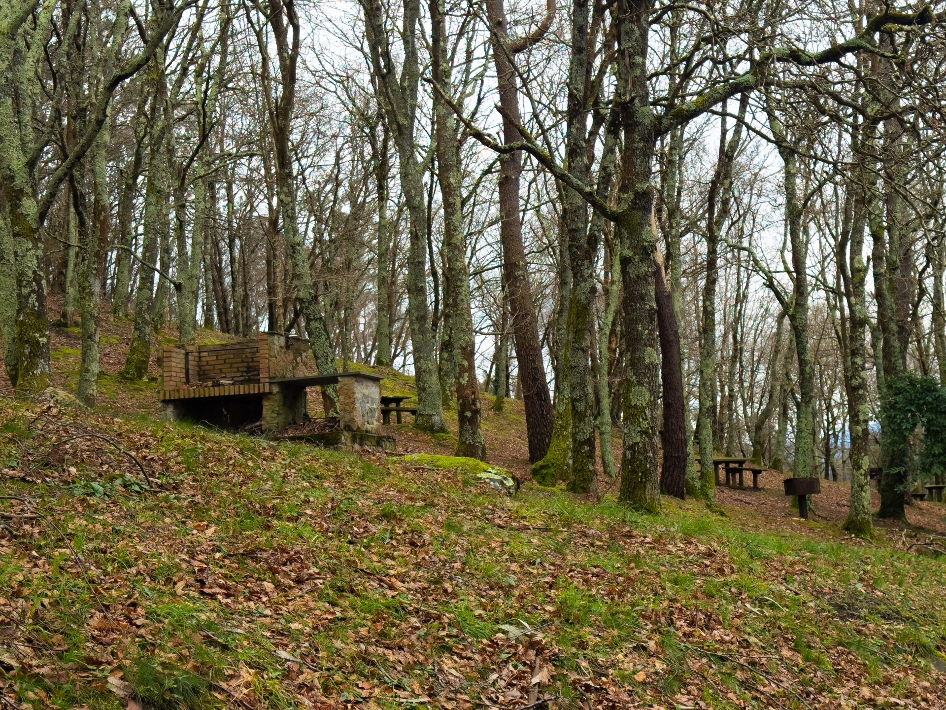 Área Recreativa El Viso - 5