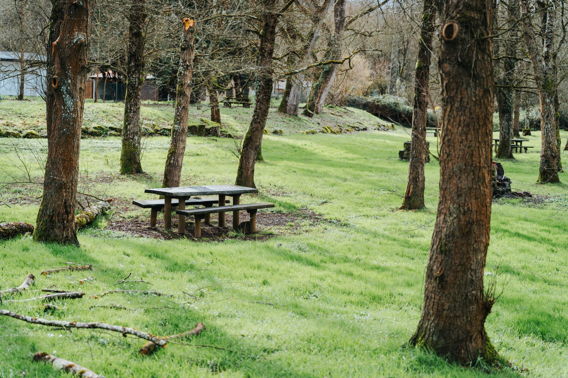 Área Recreativa La Rodriga - 2