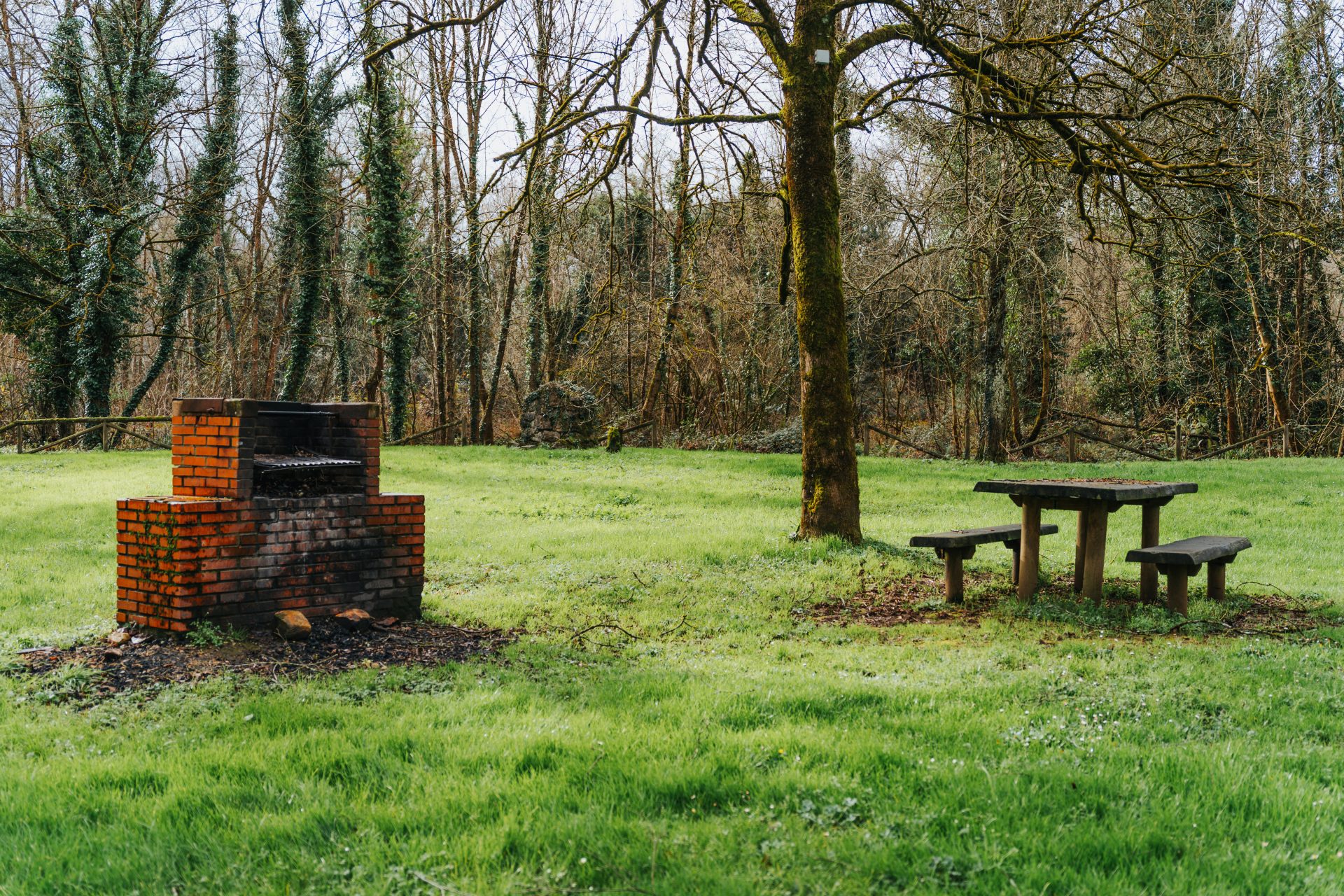 Área Recreativa La Rodriga - 4