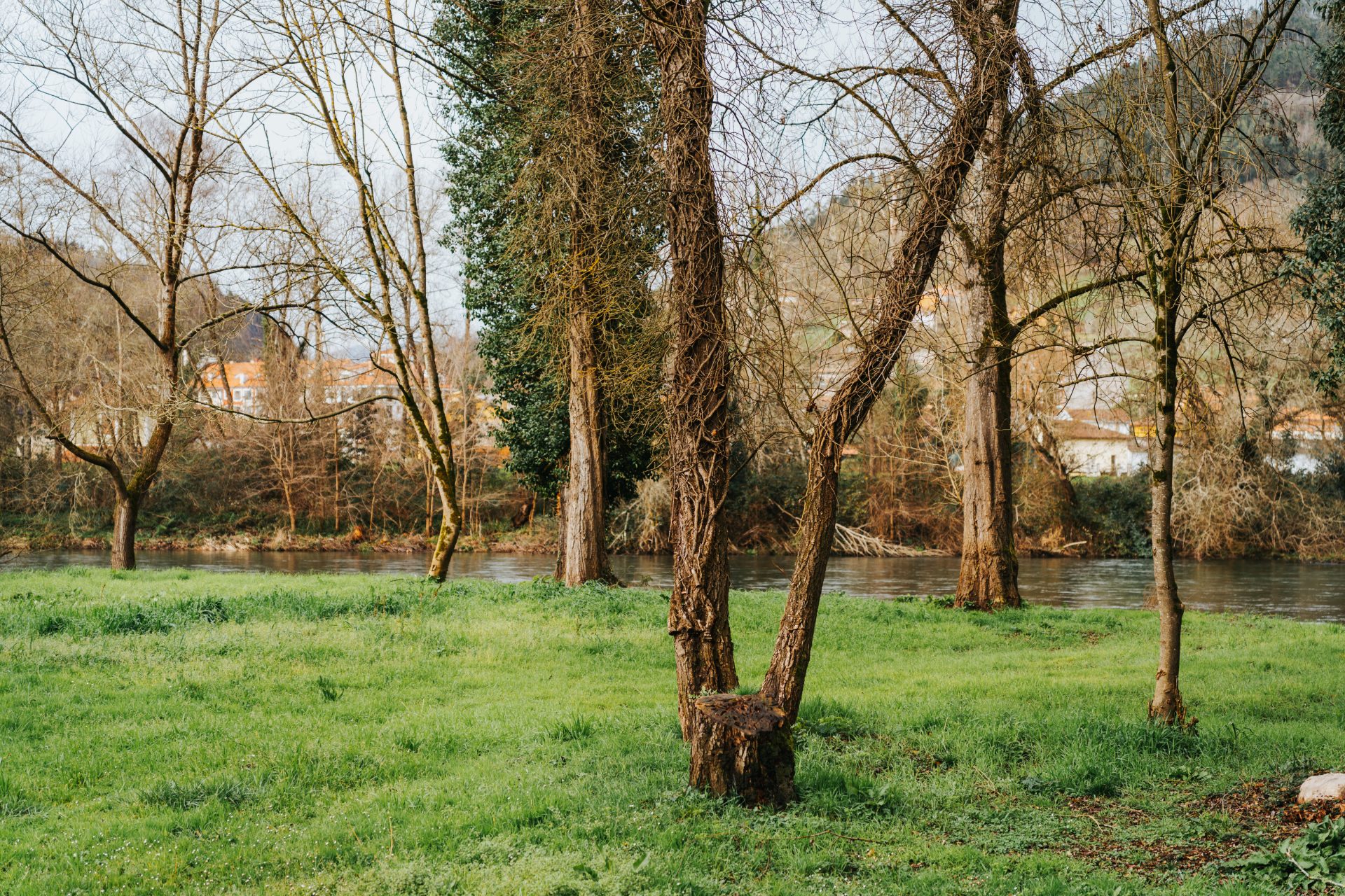 Área Recreativa La Rodriga - 5