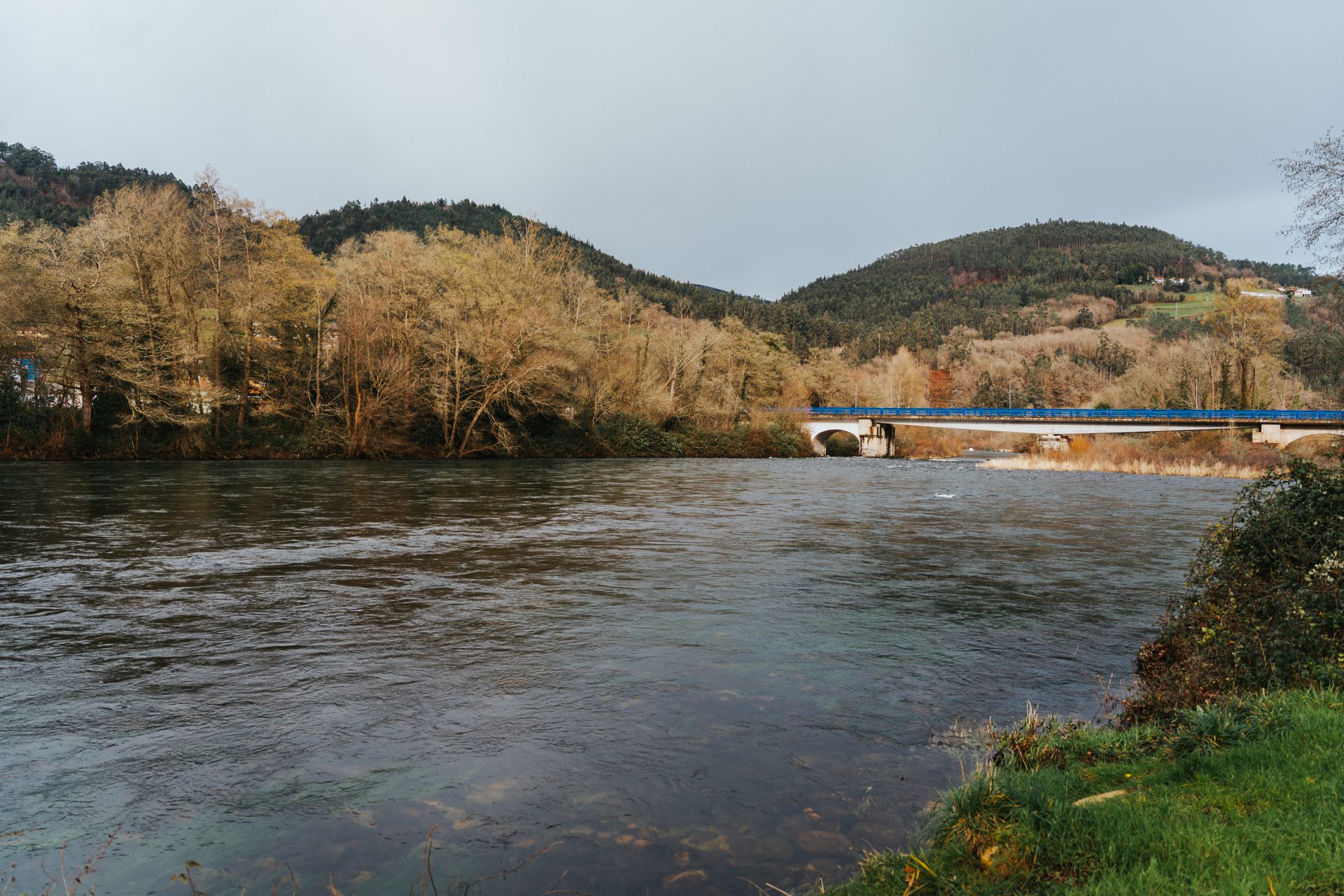 Área Recreativa La Rodriga - 6