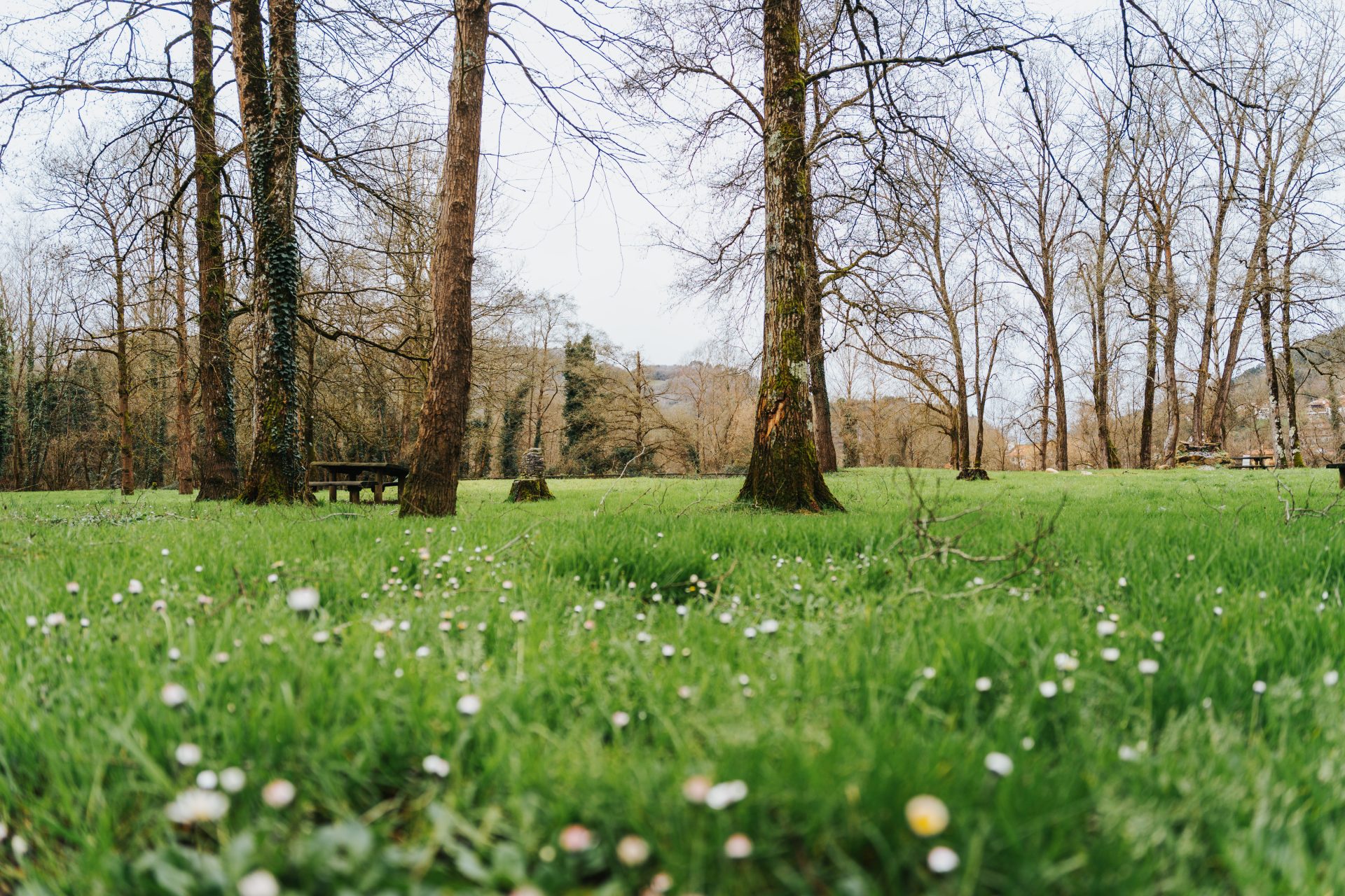 Área Recreativa La Rodriga - 7