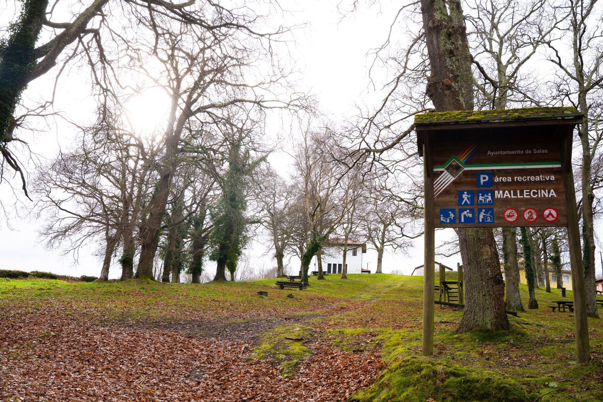 Área Recreativa de Mallecina