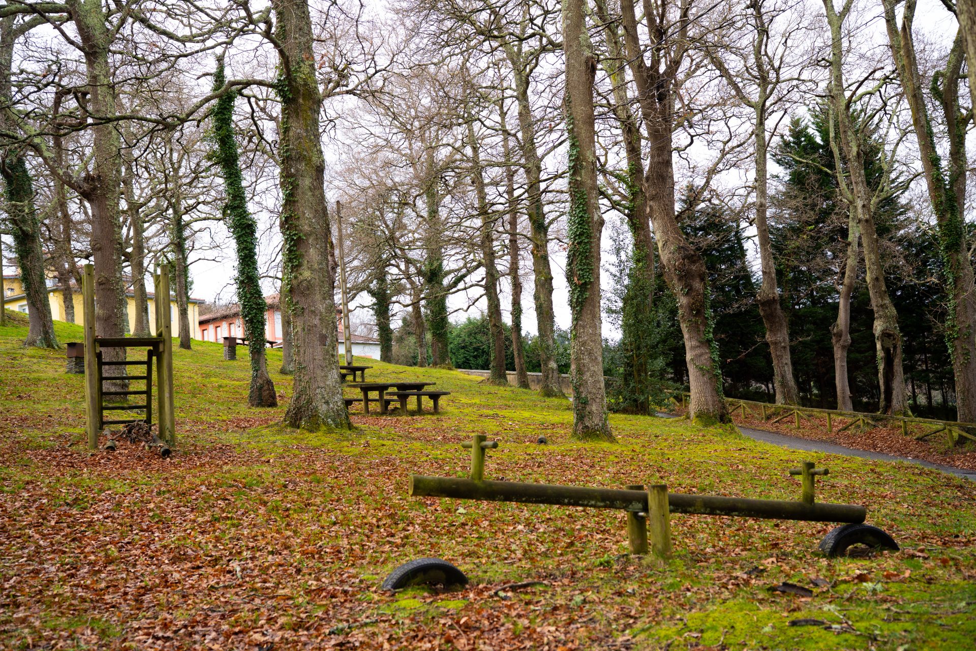 Área Recreativa de Mallecina - 2