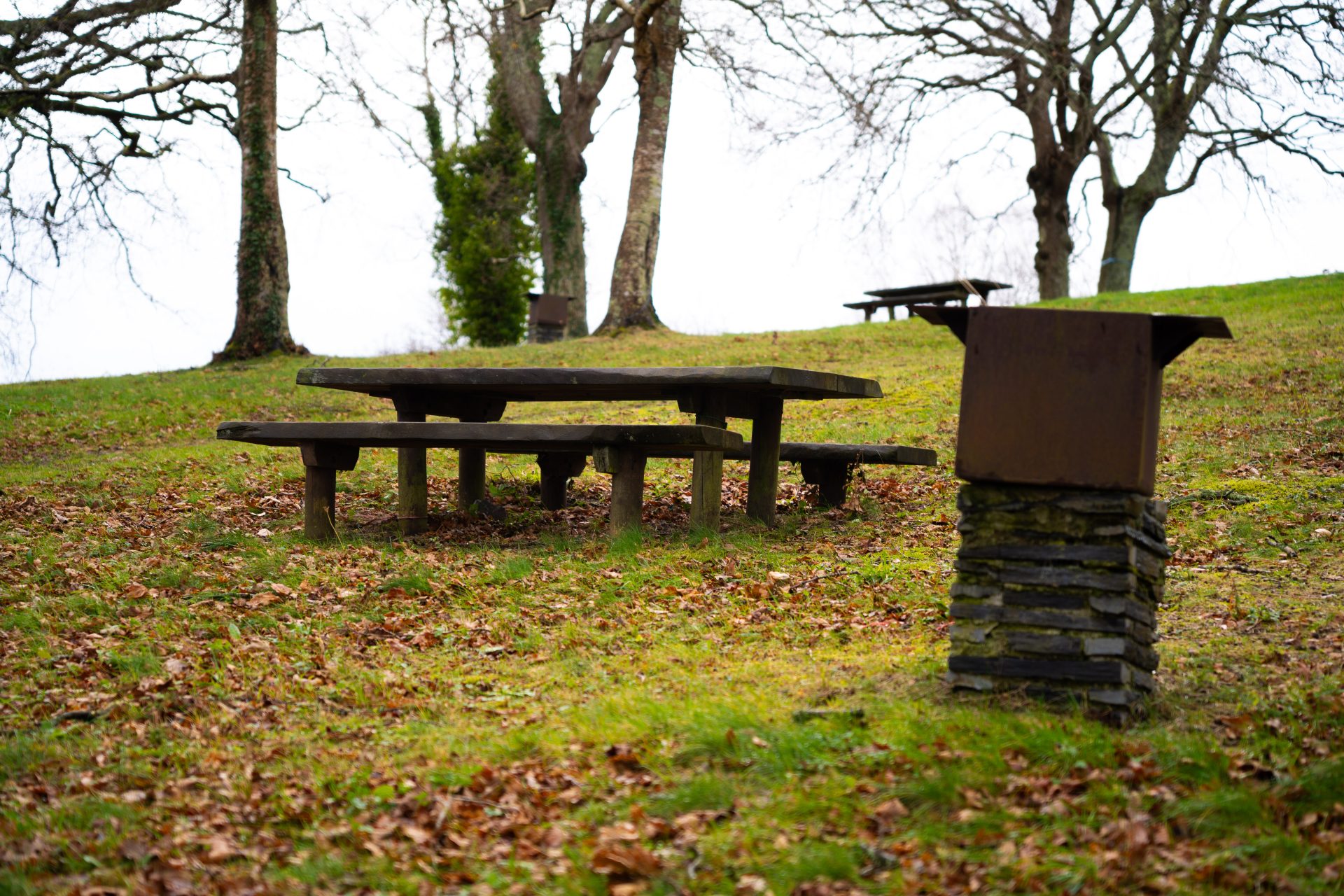 Área Recreativa de Mallecina - 3