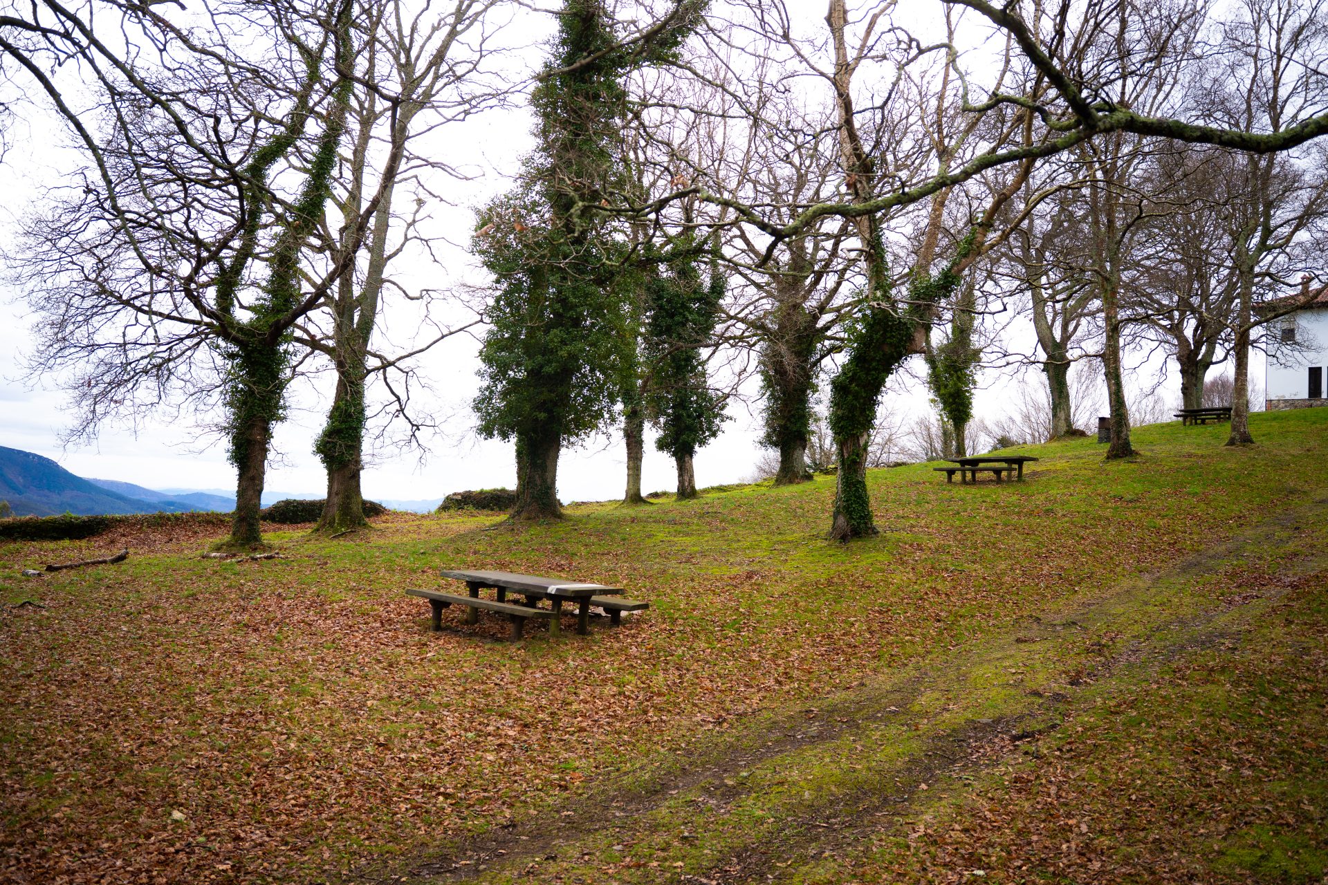 Área Recreativa de Mallecina - 4