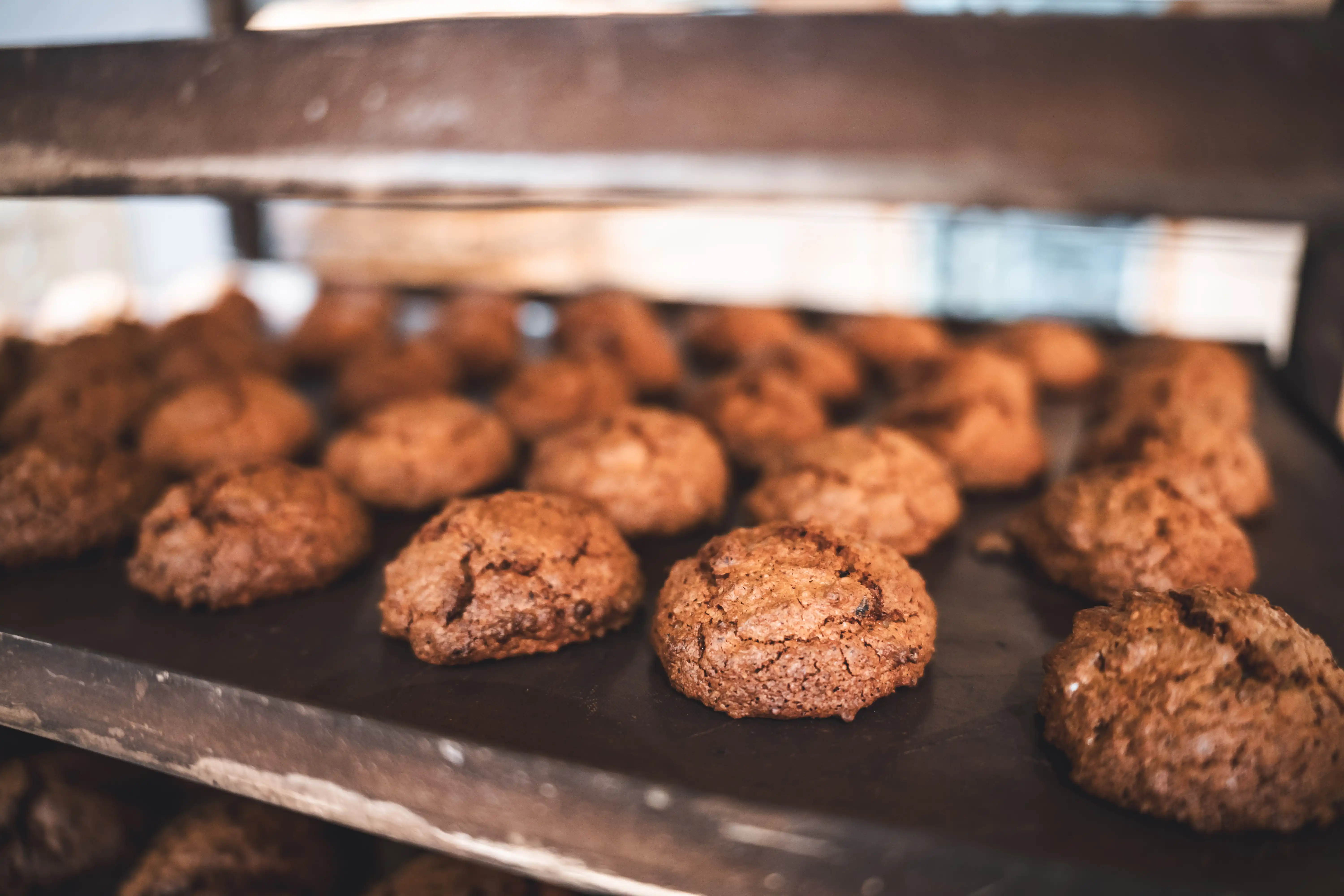 Carajitos de Salas - 5