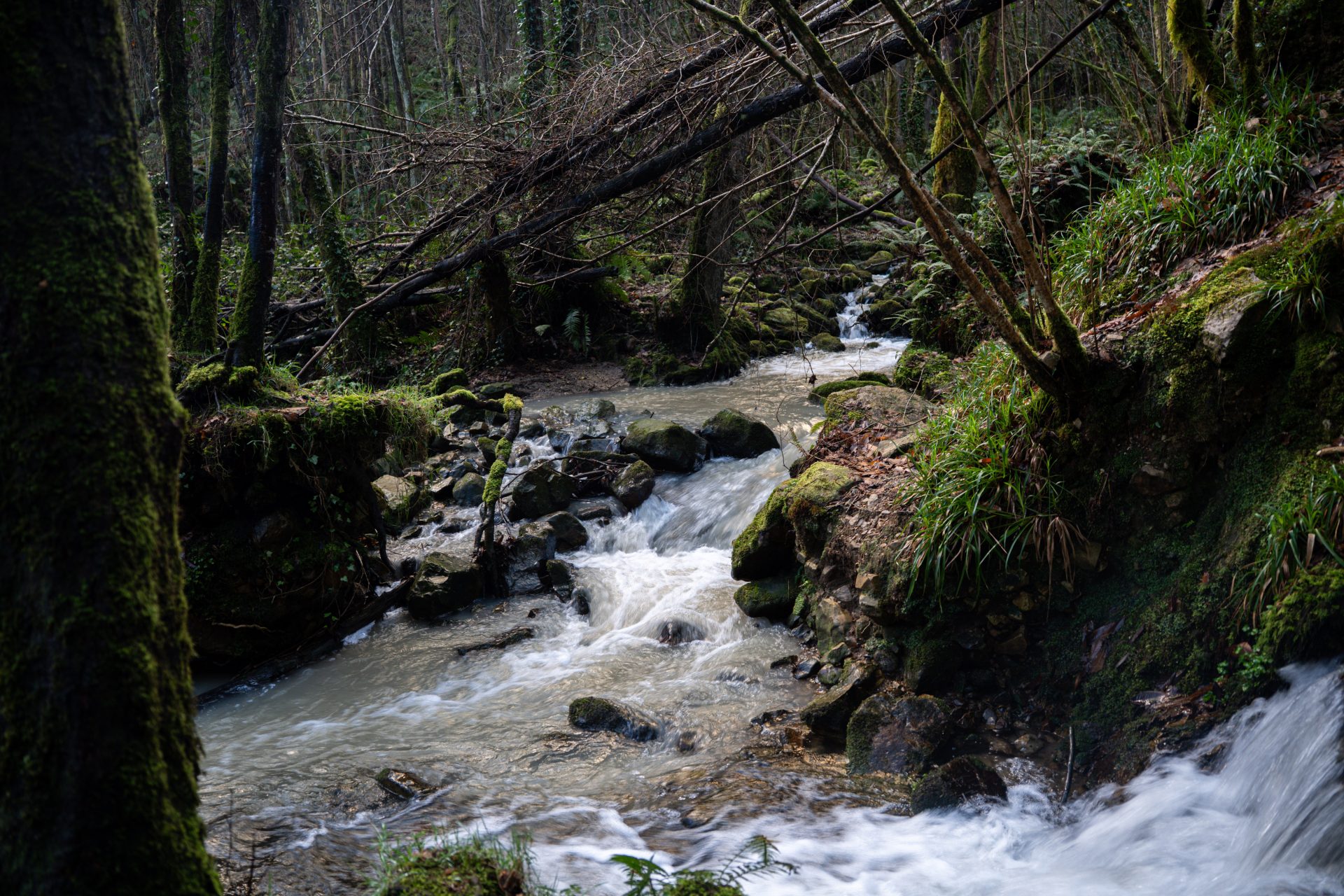 Cascada del Nonaya - 5
