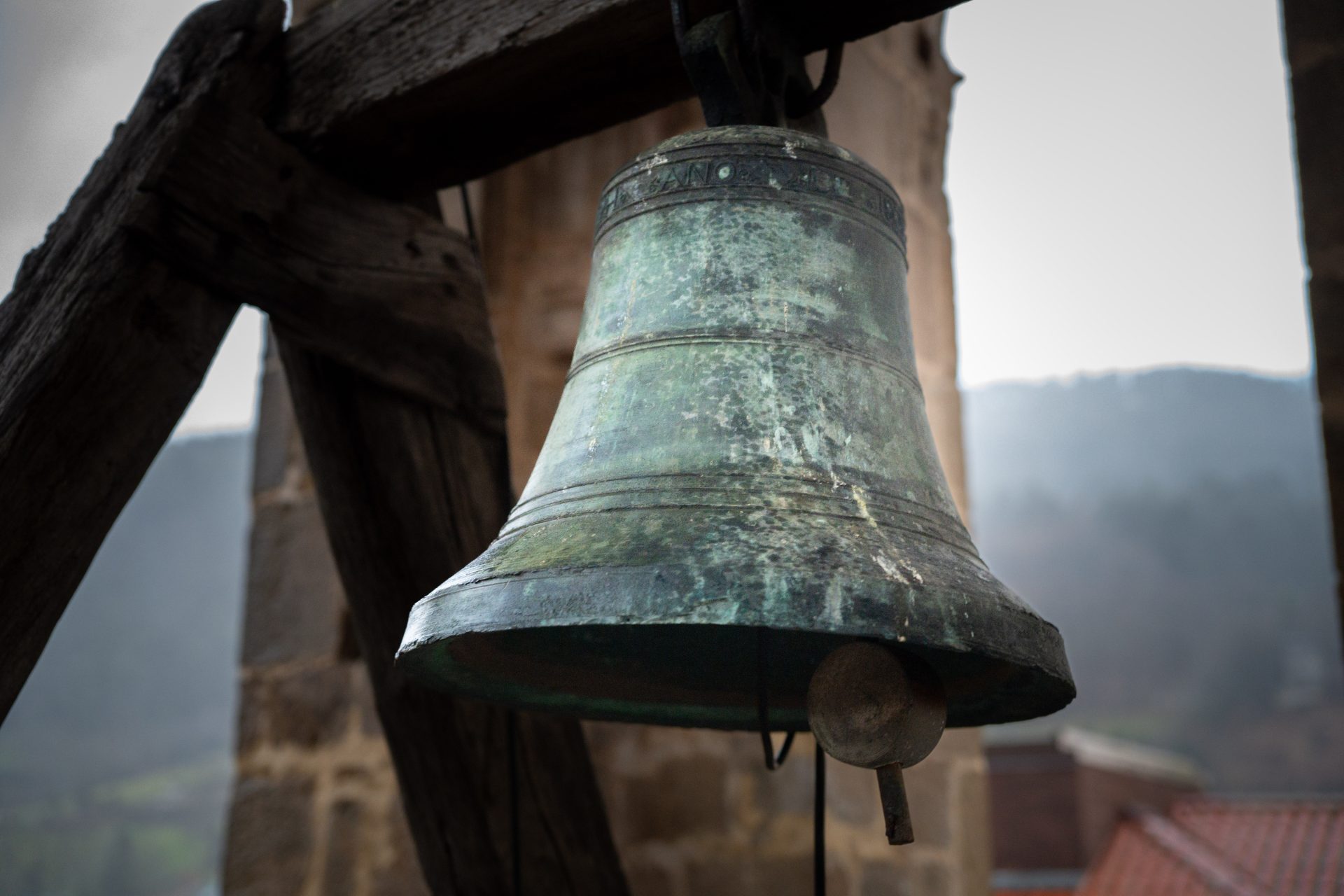 Colegiata de Santa María la Mayor - 5