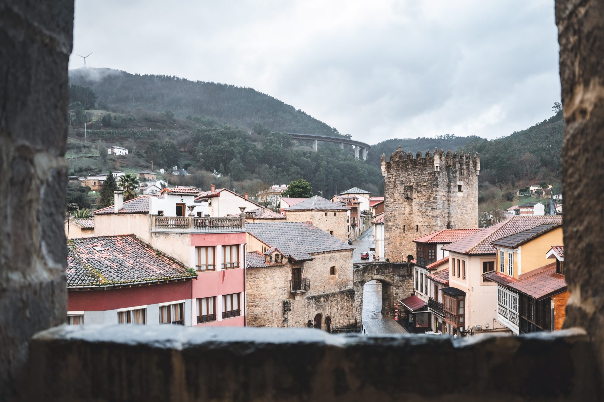 Colegiata de Santa María la Mayor - 6