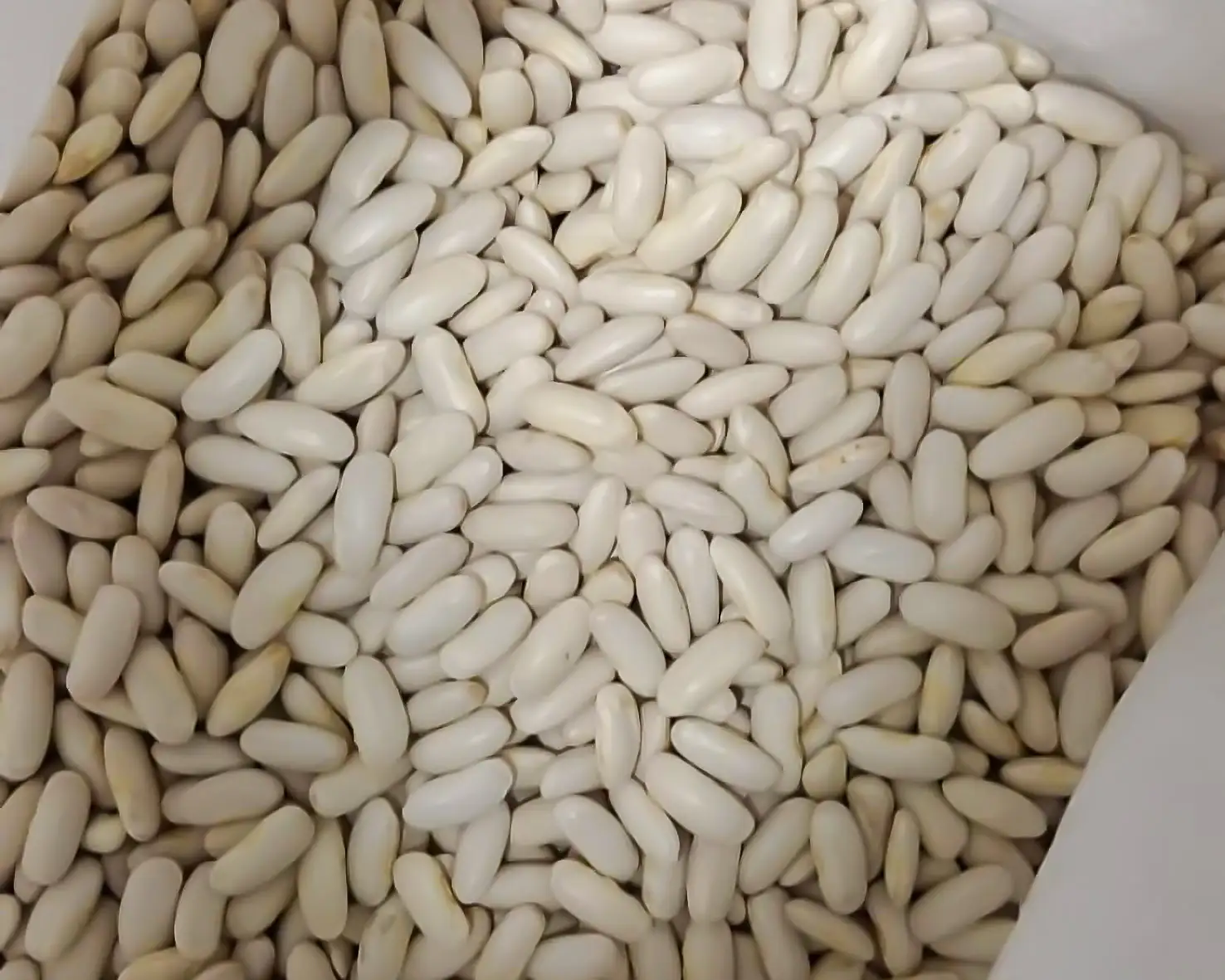 Fabas de Salas (IGP) - 5