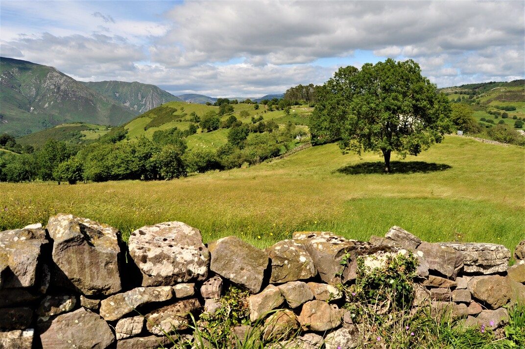 Salas Pueblo Mágico - 5