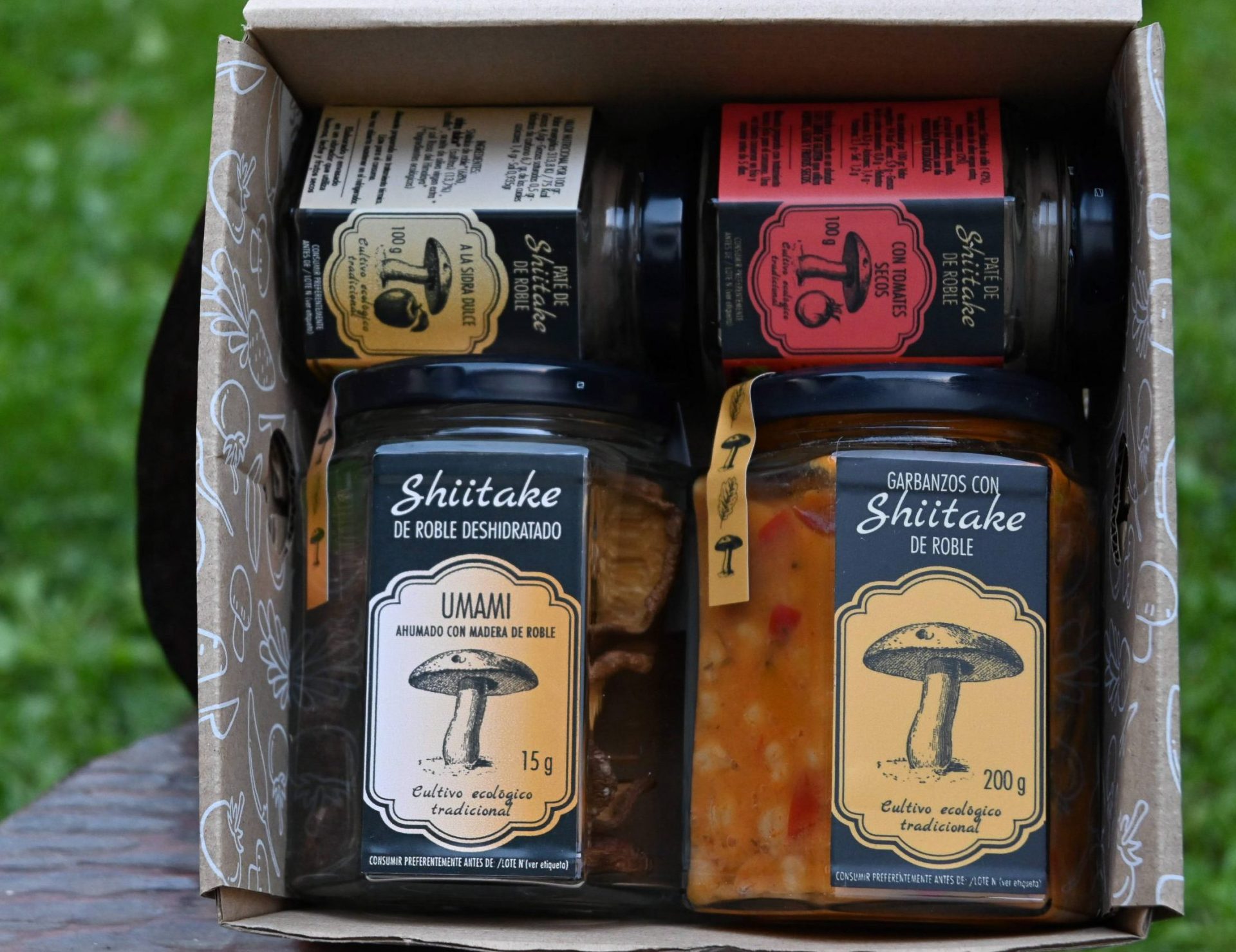 Setas del Concejo de Salas - 4