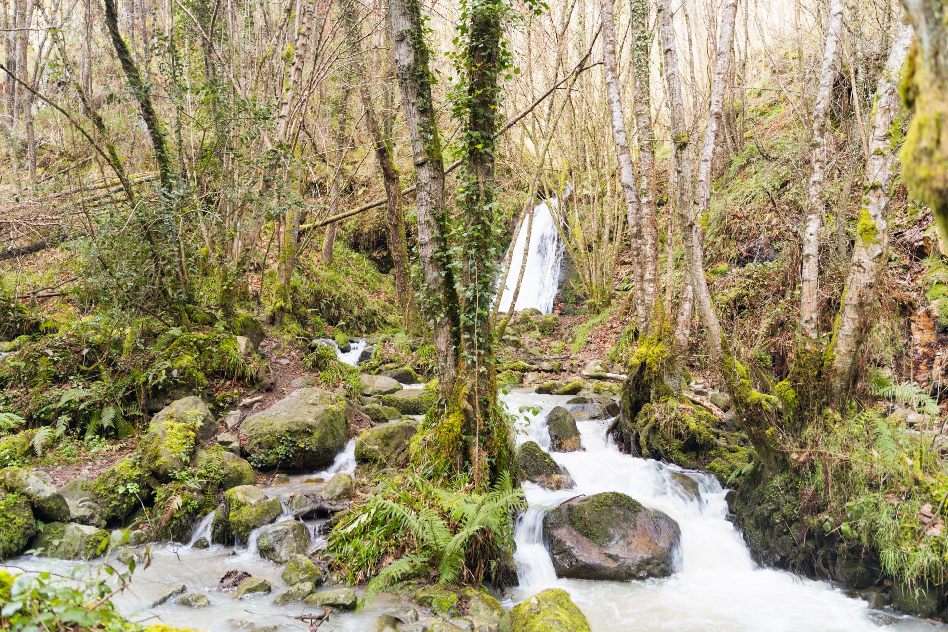 Sector de El Viso - 2